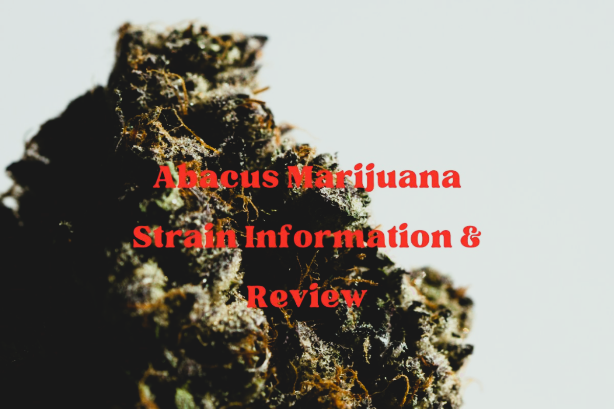 Medical Strain Analysis Abacus