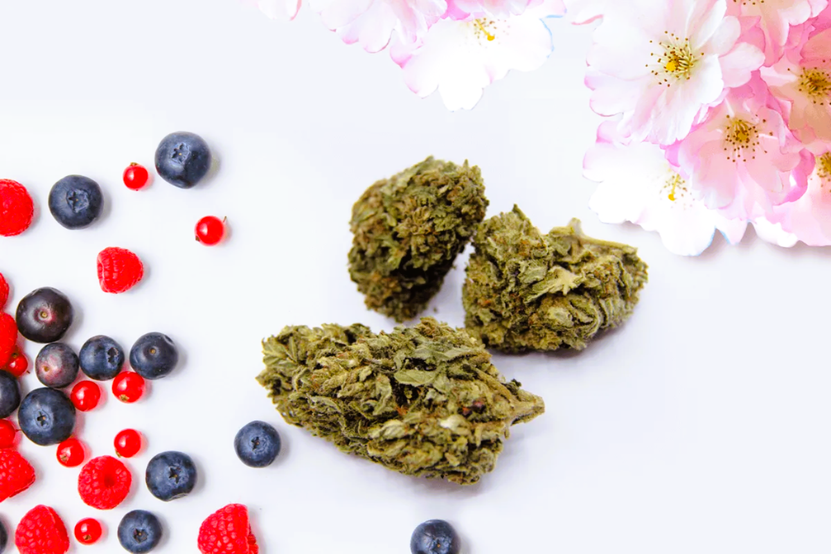 Medical Strain Analysis Berry Blossom