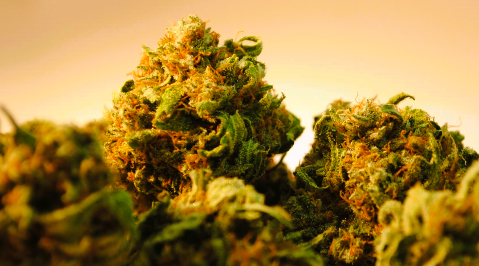 Medical Strain Analysis Bright Fields