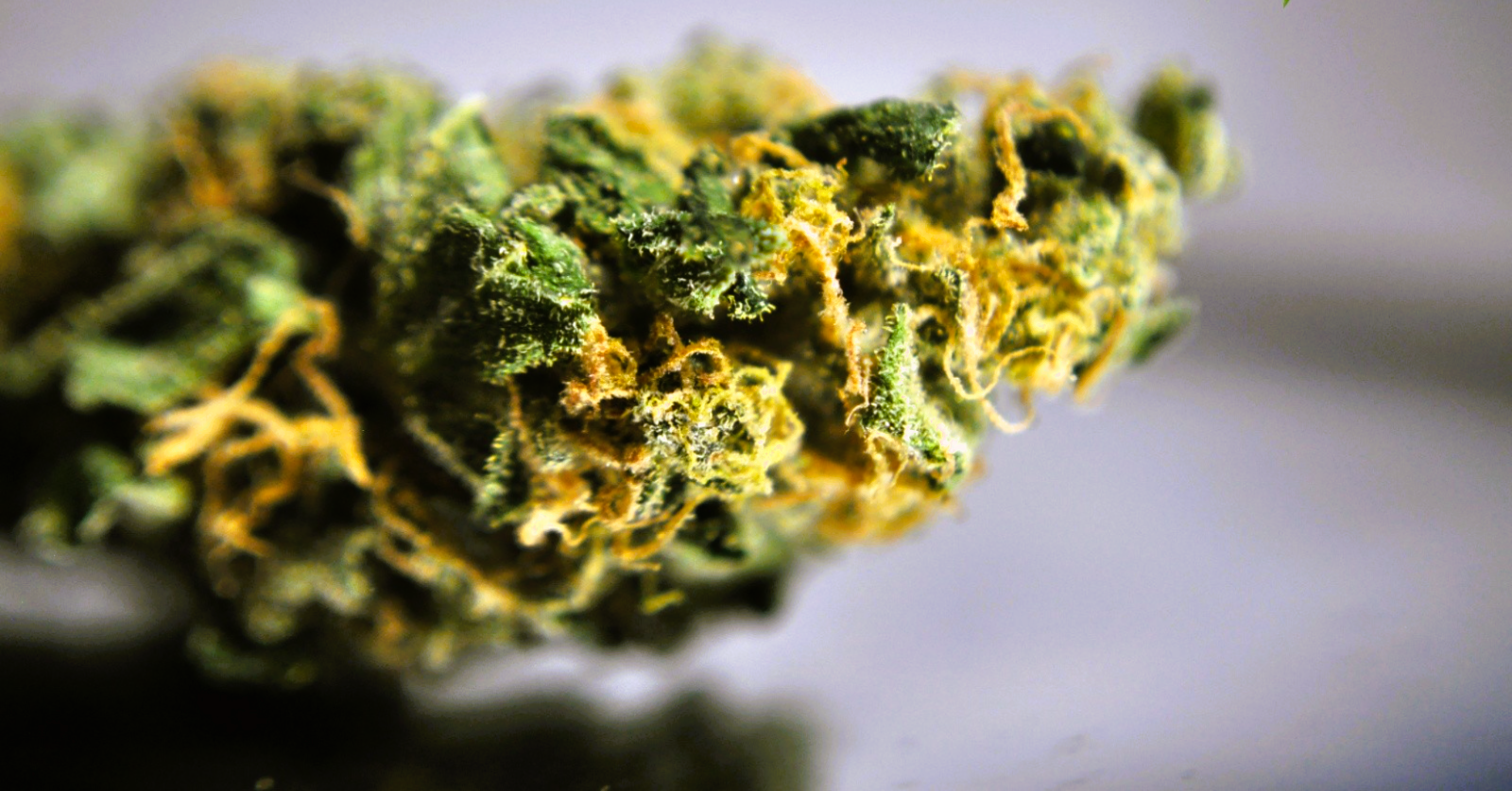 Medical Strain Analysis CBD Aloha 2