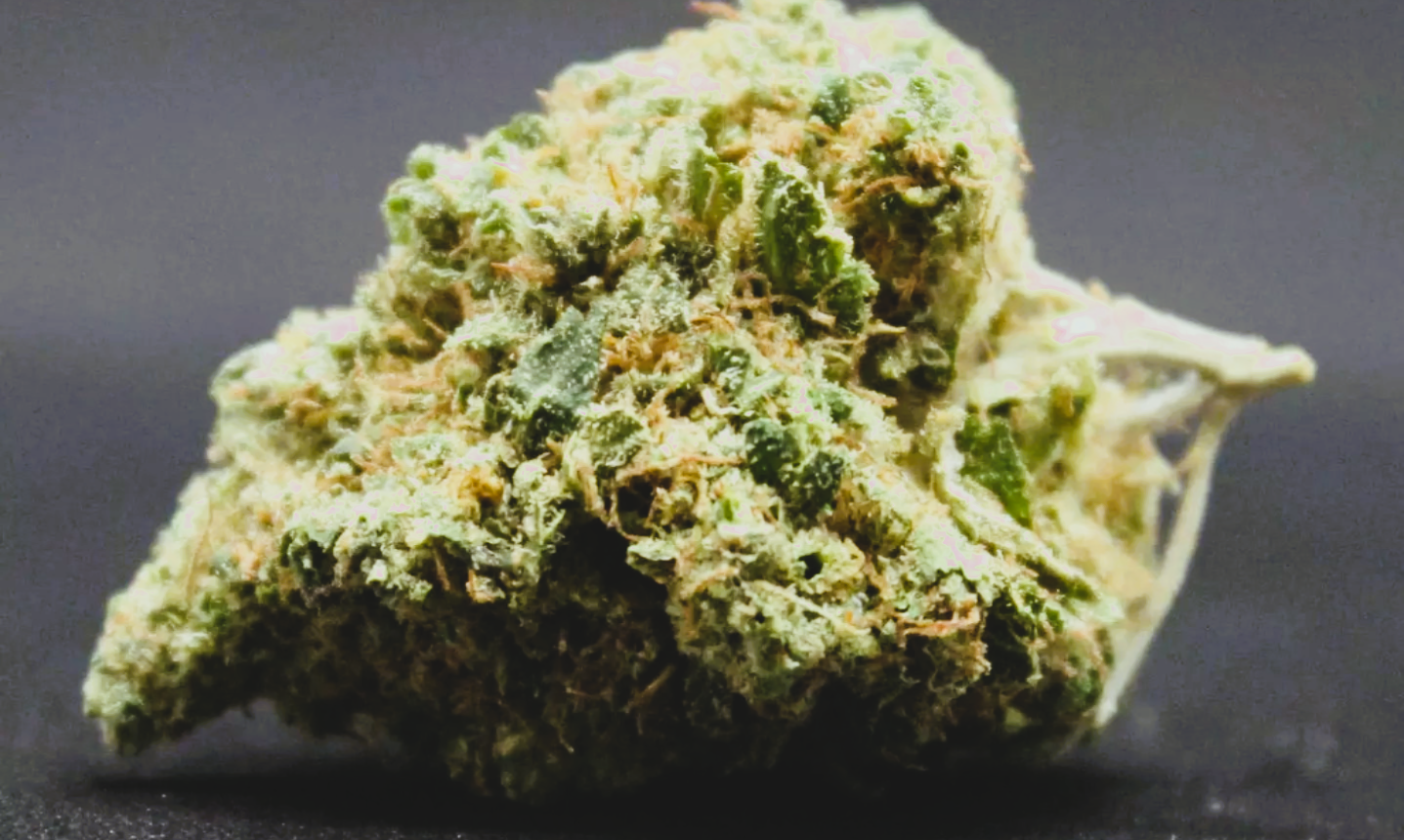 Medical Strain Analysis CBD OG