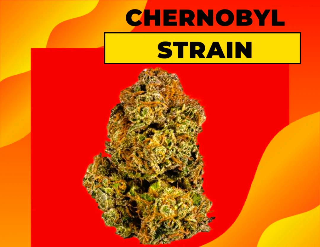 Medical Strain Analysis Chernobyl