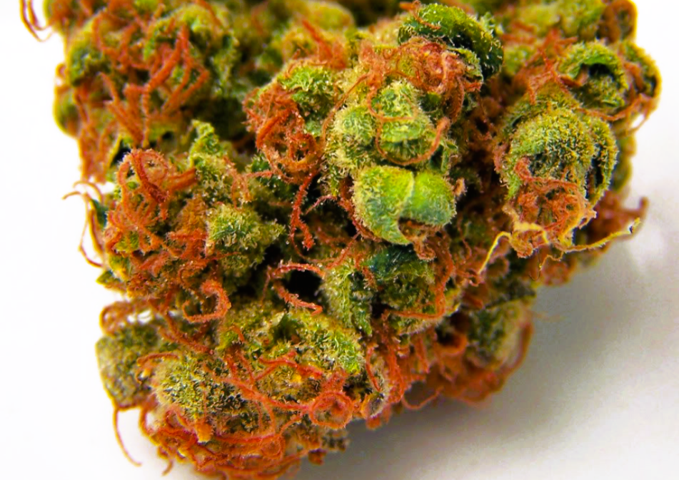 Medical Strain Analysis Cherry Kush CBD 2