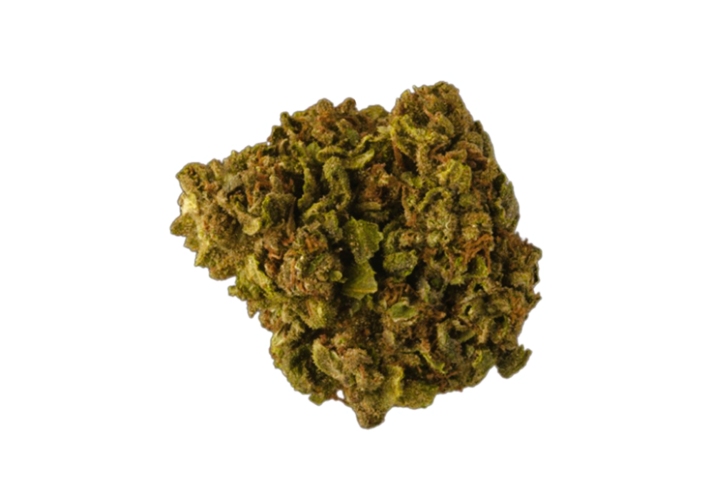 Medical Strain Analysis Chocolate Diesel