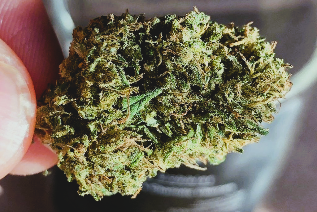 Medical Strain Analysis Cobbler CBD