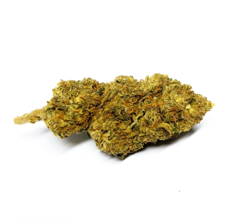 Medical Strain Analysis Critical Cure 2