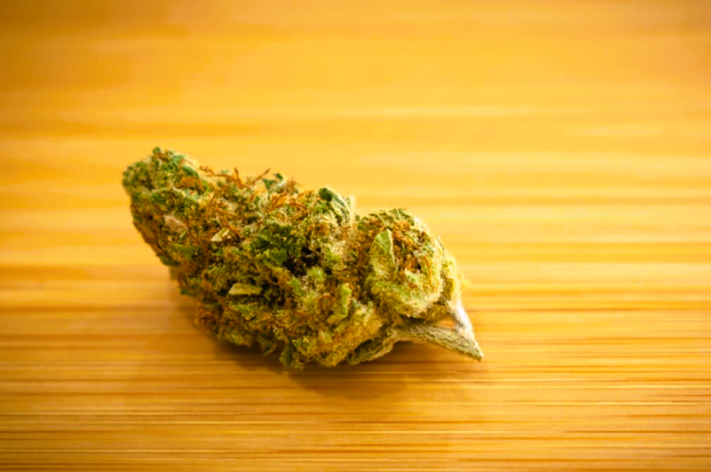 Medical Strain Analysis Critical Mass 2.0