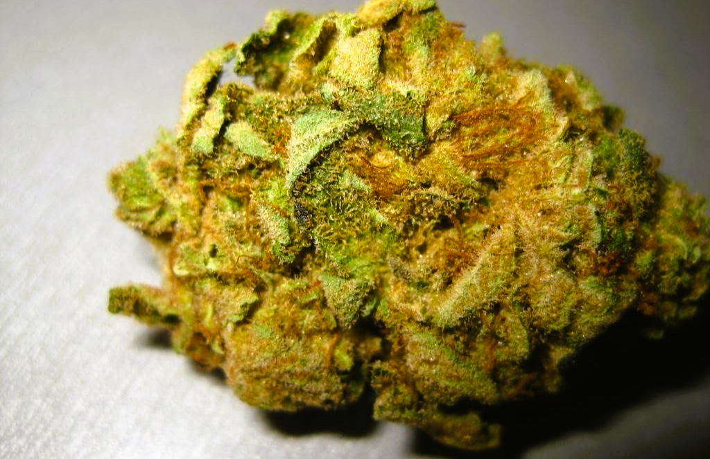 Medical Strain Analysis Hempstar