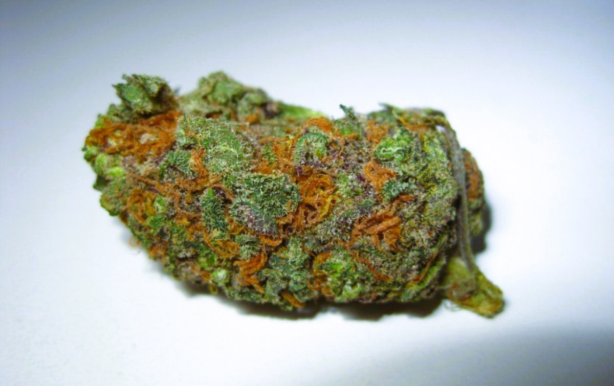 Medical Strain Analysis Lavender Dream