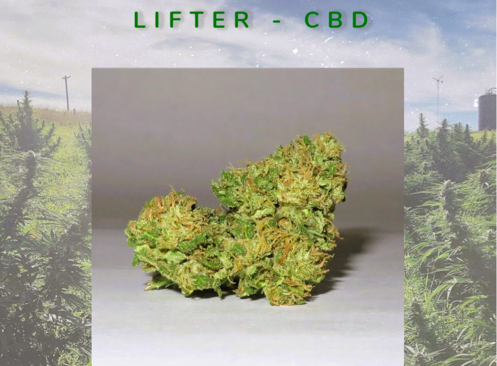 Medical Strain Analysis Lifter 2