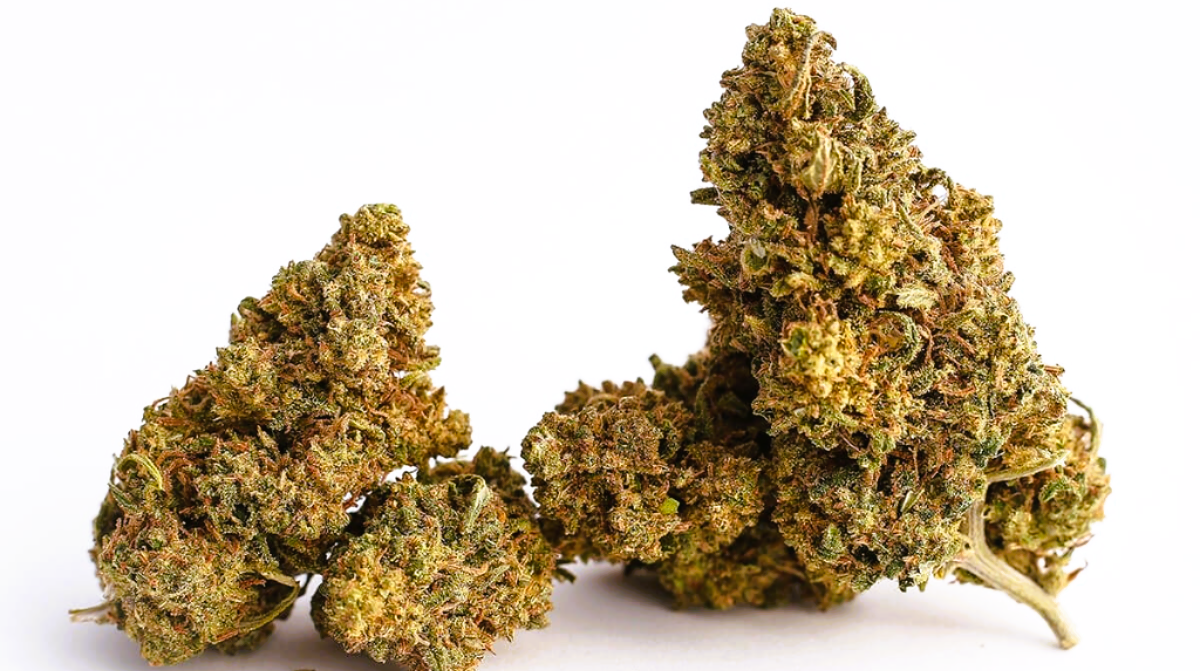 Medical Strain Analysis Magic Bullet