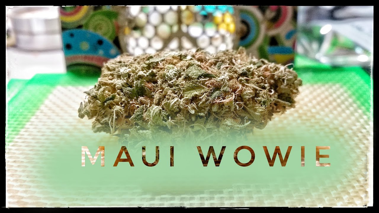 Medical Strain Analysis Maui Wowie