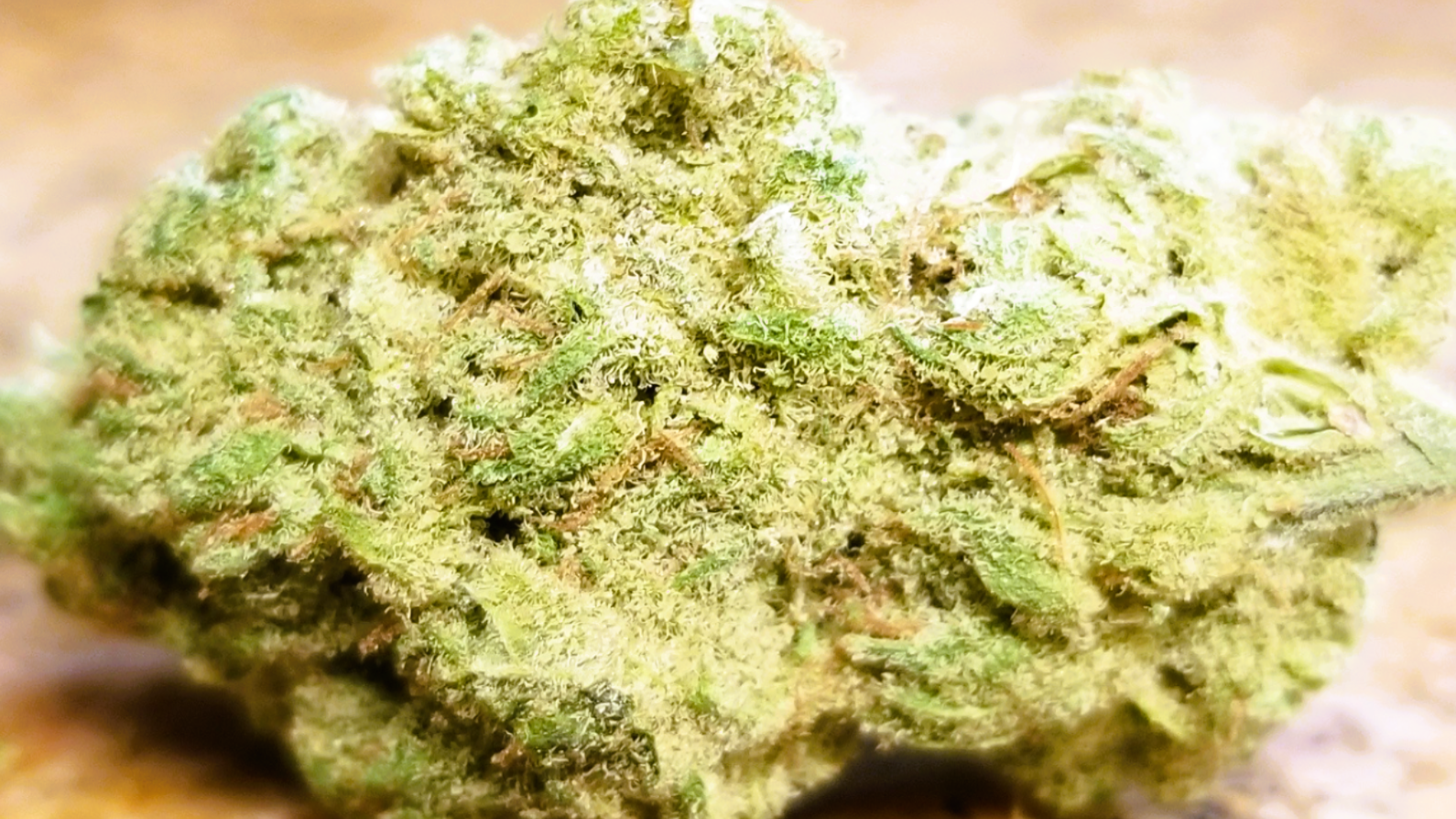 Medical Strain Analysis Morning Star CBD 2