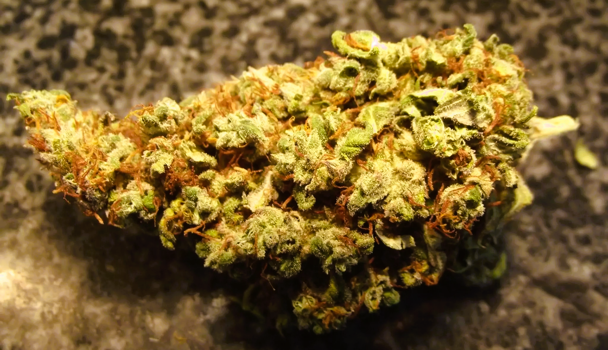 Medical Strain Analysis Orange Hill Special