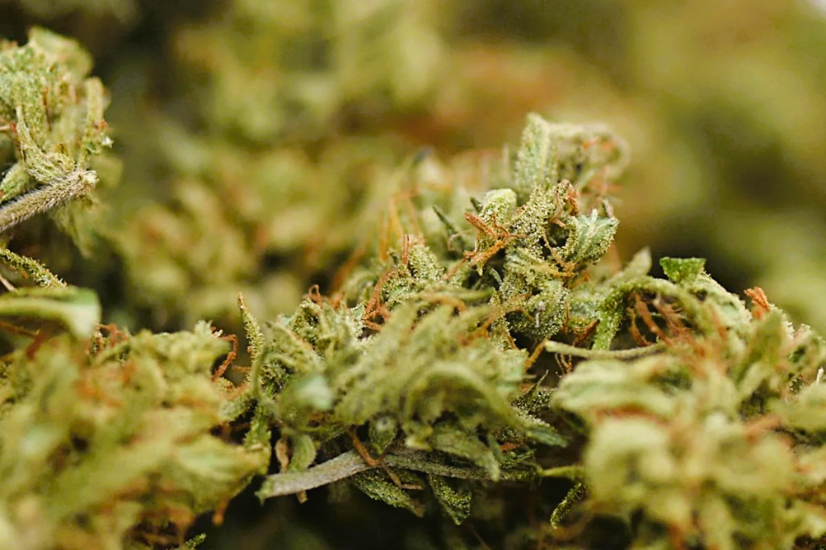 Medical Strain Analysis Otto