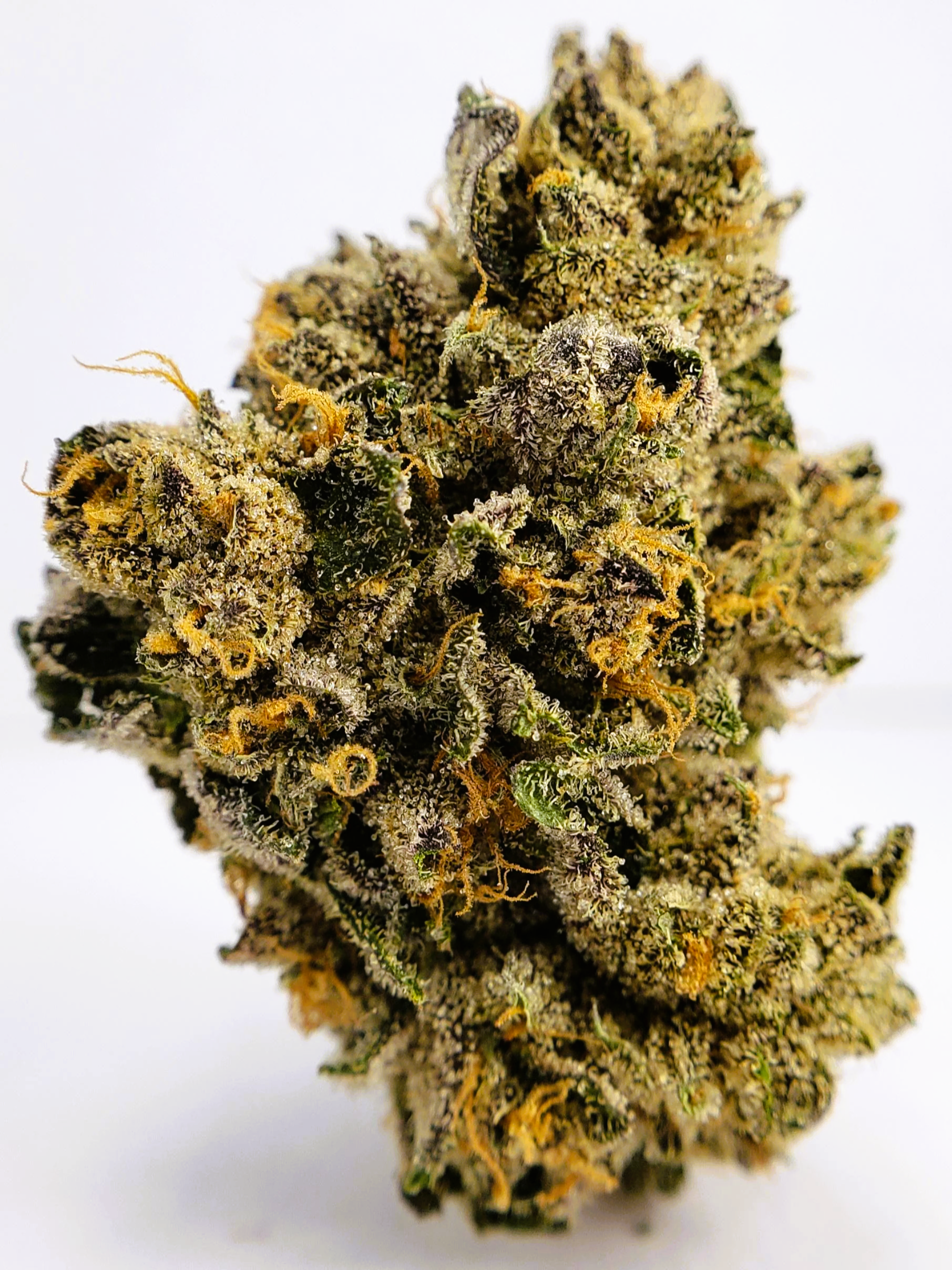 Medical Strain Analysis Panama Red CBD