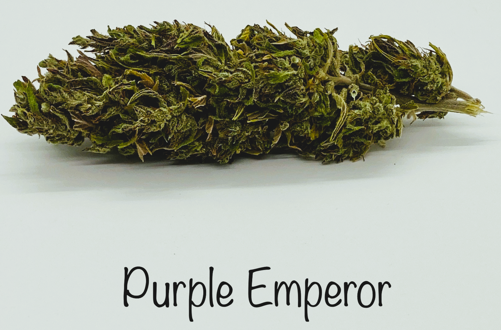 Medical Strain Analysis Purple Emperor