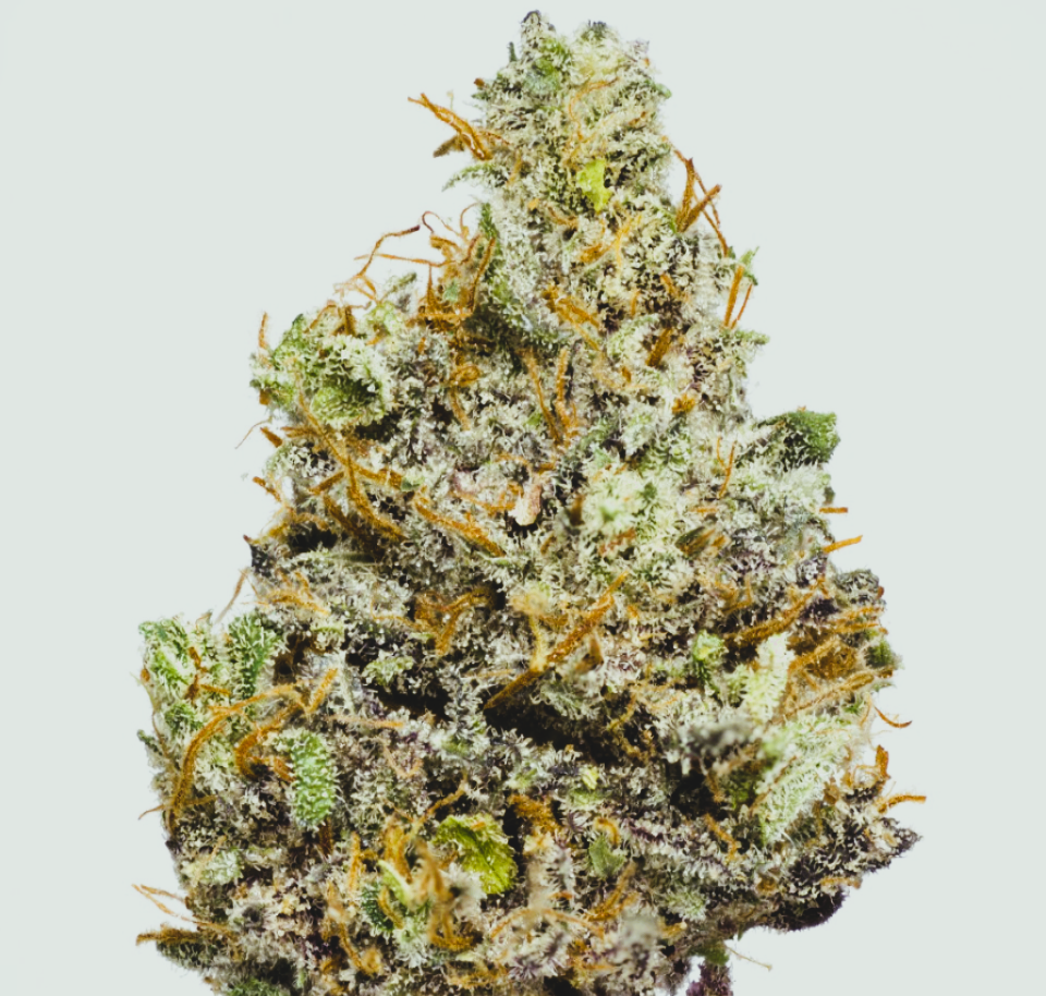 Medical Strain Analysis Stormy CBD 2