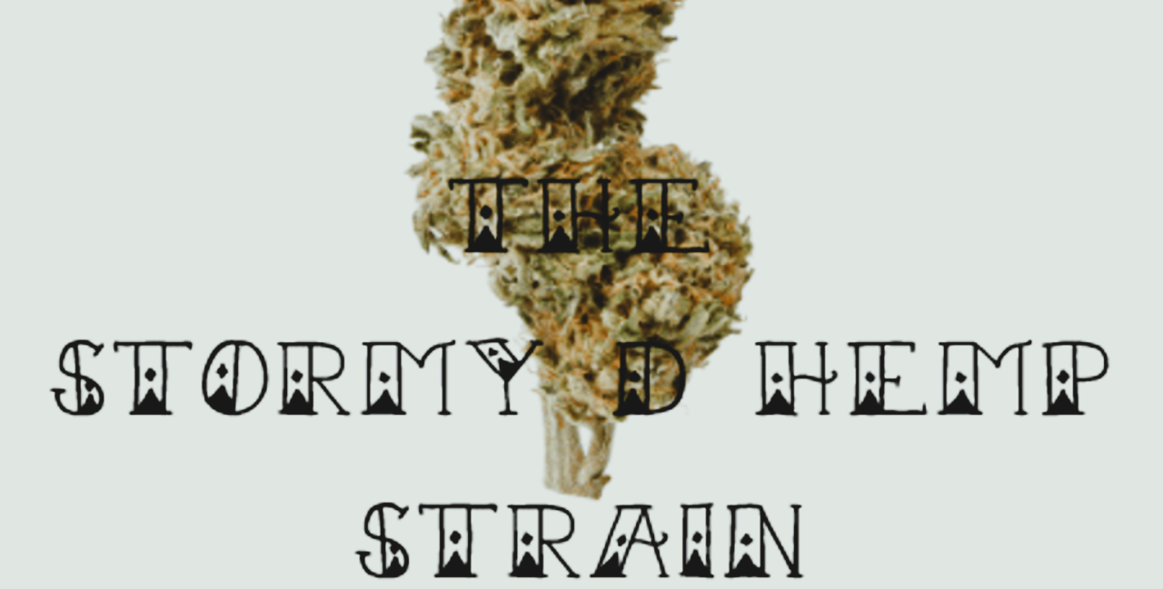 Medical Strain Analysis Stormy Daniels