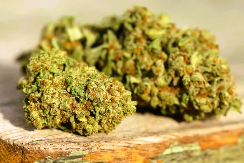 Medical Strain Analysis Sundance