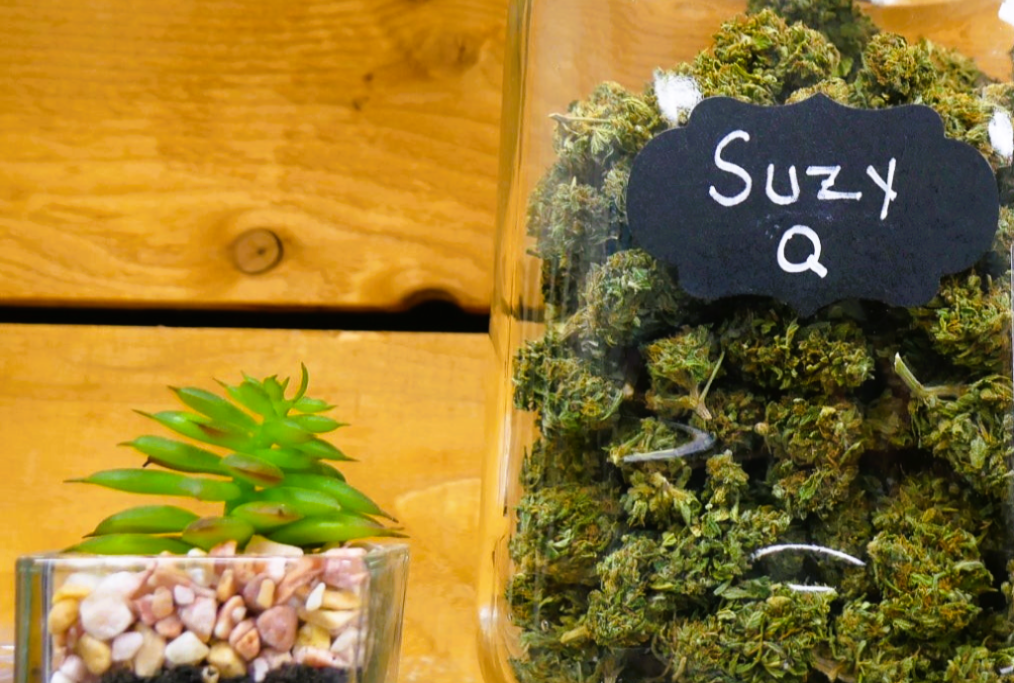 Medical Strain Analysis Suzy Q 2