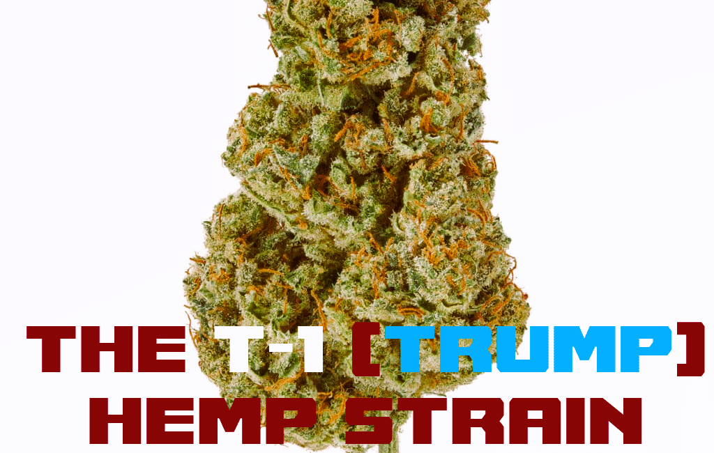 Medical Strain Analysis T1Trump 2