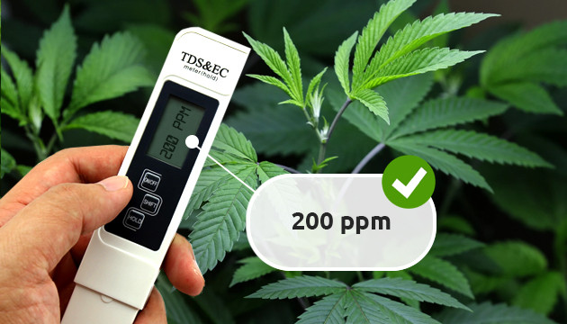 Modifying Electrical Conductivity Levels