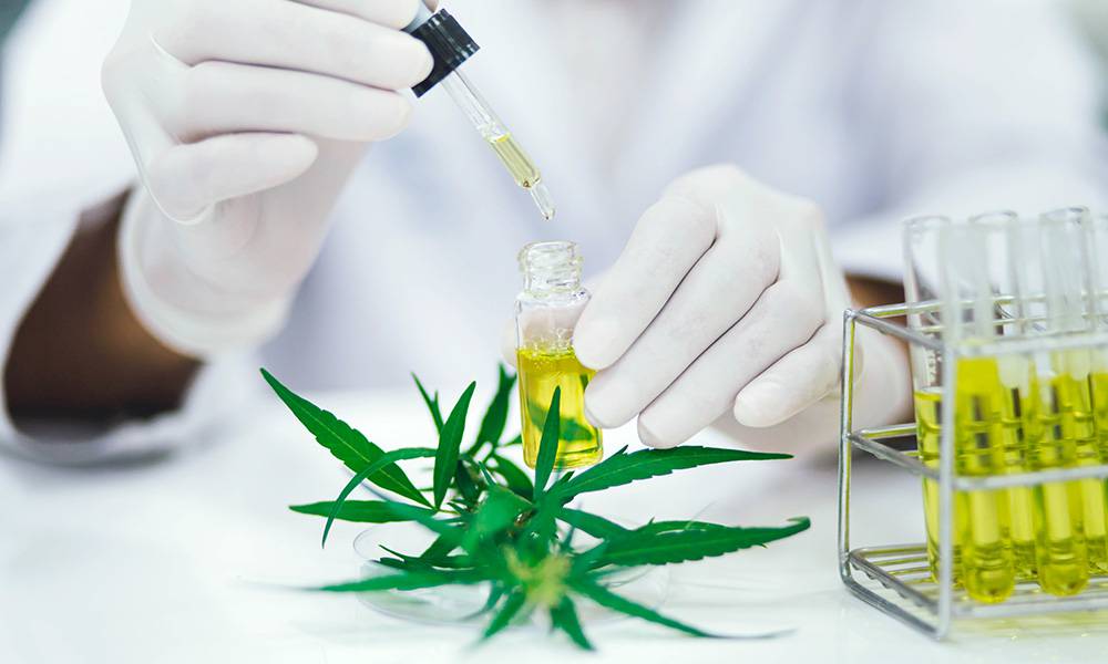 Monitoring THC Levels in Medical Cannabis 1