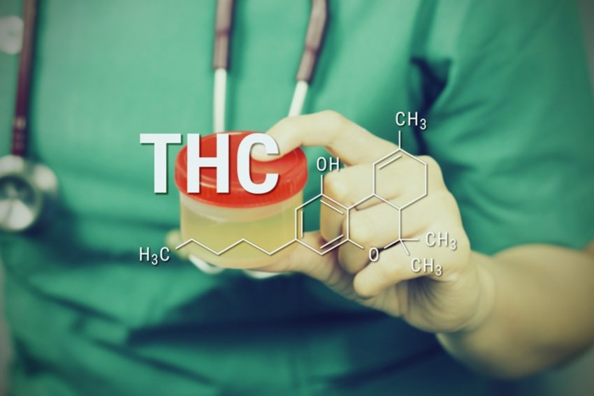 Monitoring THC Levels to Prevent Psychoactive Effects