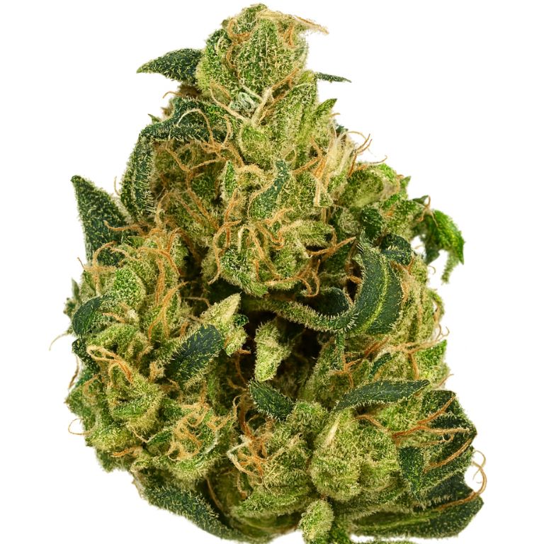 Northern Lights x Skunk Cannabis Bud