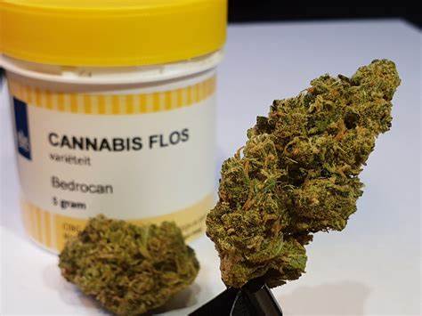 Bedrolite medical strain