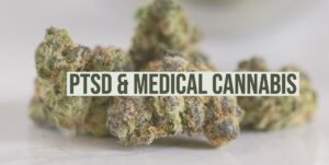 Phantom Cookies ptsd