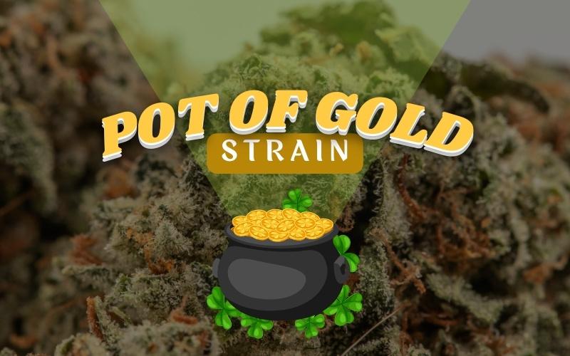Pot of Gold
