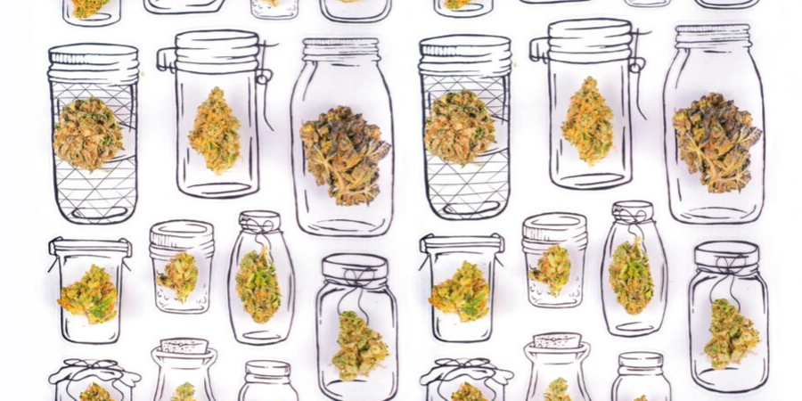 Protis Global Blog Feature Image SURPRISING PLACES YOU CAN WORK IN CANNABIS