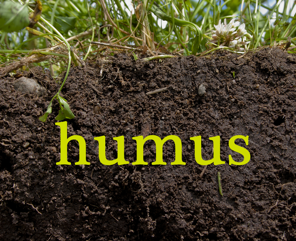 Humus: Definition and Composition