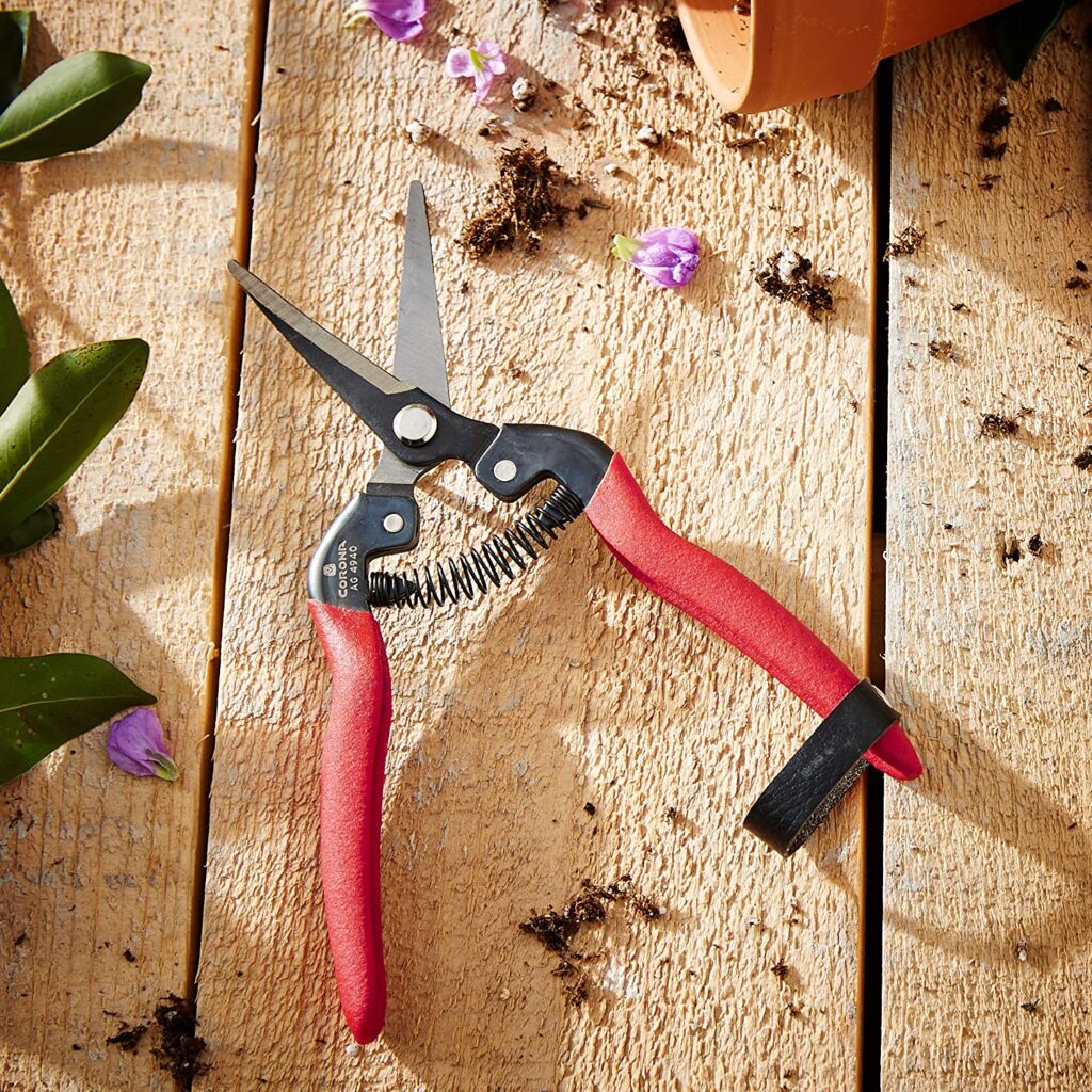 Best Tools for Pruning Medical Cannabis