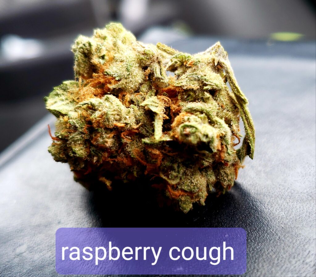 Raspberry Cough