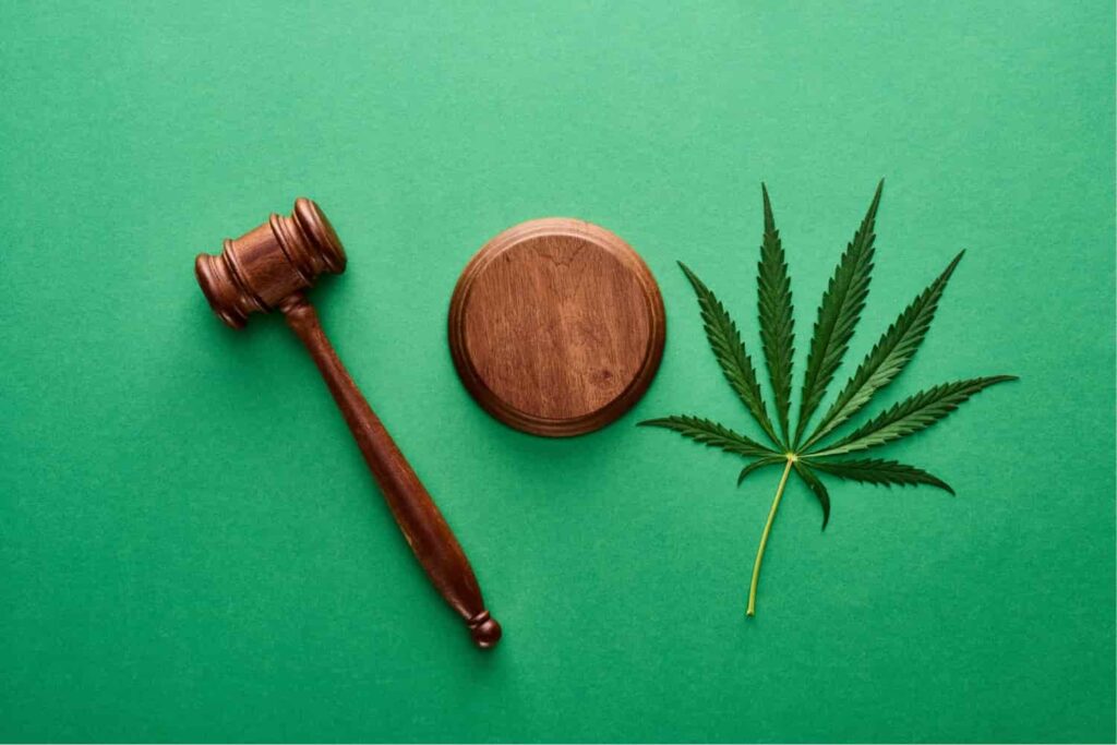 Restrictions on Cannabis Use in the Medical Field and Ensuring it as a Last Resort Option