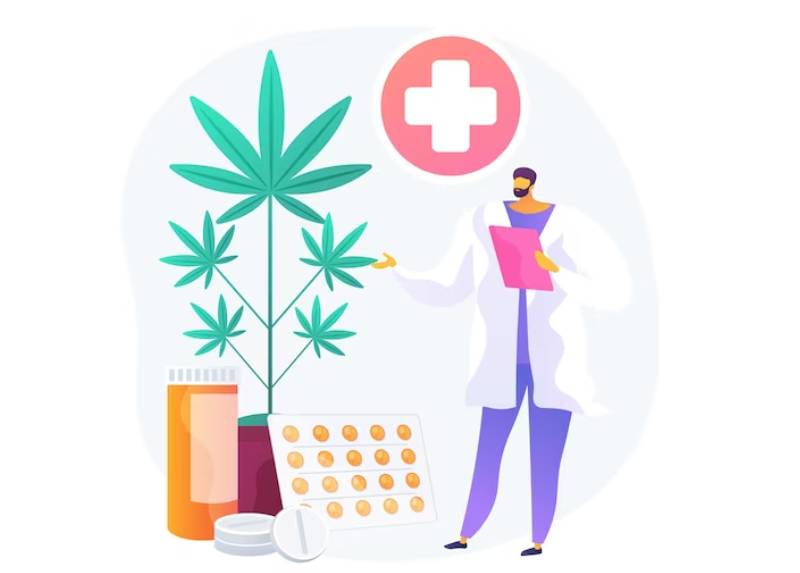 Restrictions on Growing and Using Cannabis in the Medical Field A Focus on Last Resort Treatment and Monitoring THC Levels