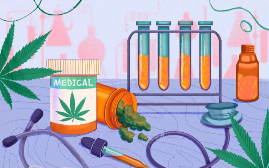 Restrictions on Growing and Using Cannabis in the Medical Field Focusing on Last Resort Therapy and THC Monitoring