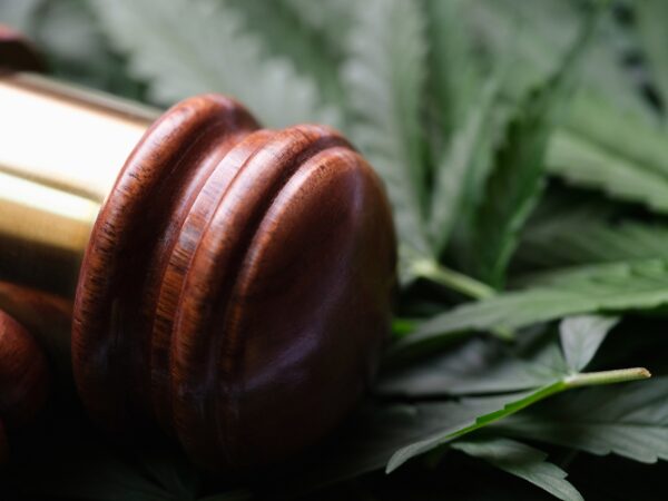 Restrictions on Growing and Using Medical Cannabis A Focus on Safety and Use as a Last Resort