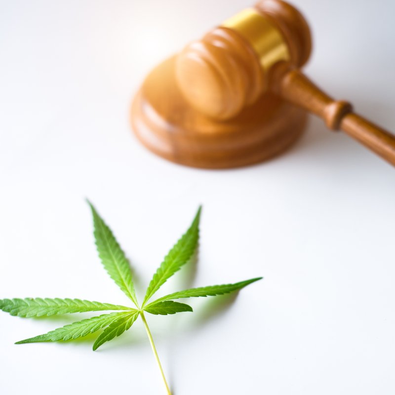 Restrictions on Using CBD MediHaze in the Medical Field and as a Last Resort