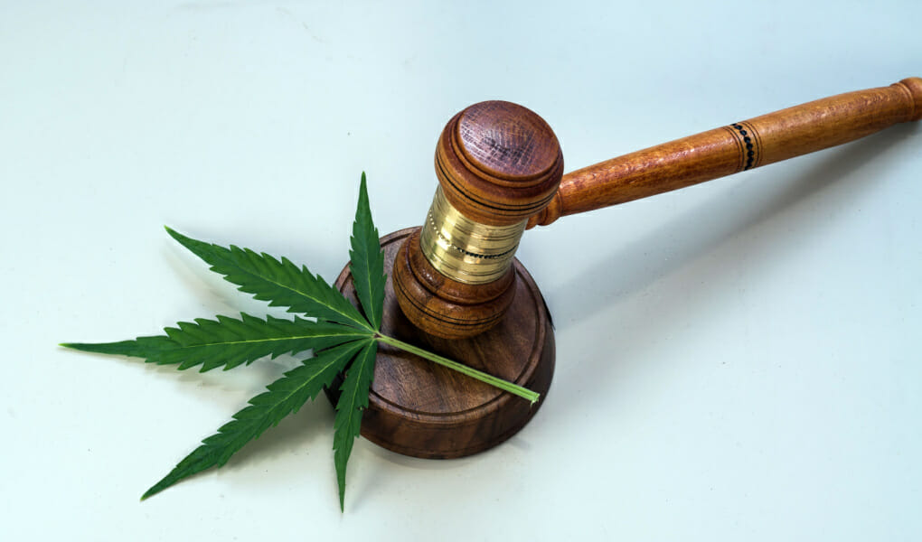 Restrictions on Using Cherry Blossom Strain in the Medical Field and as a Last Resort