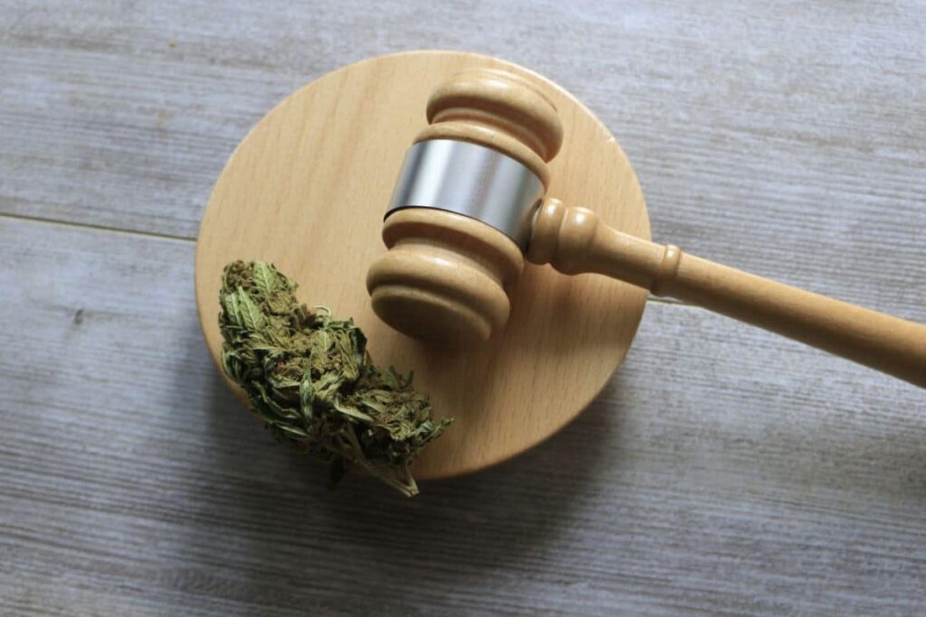 Restrictions on Using Hempstar in the Medical Field and Safeguards for Patient Safety