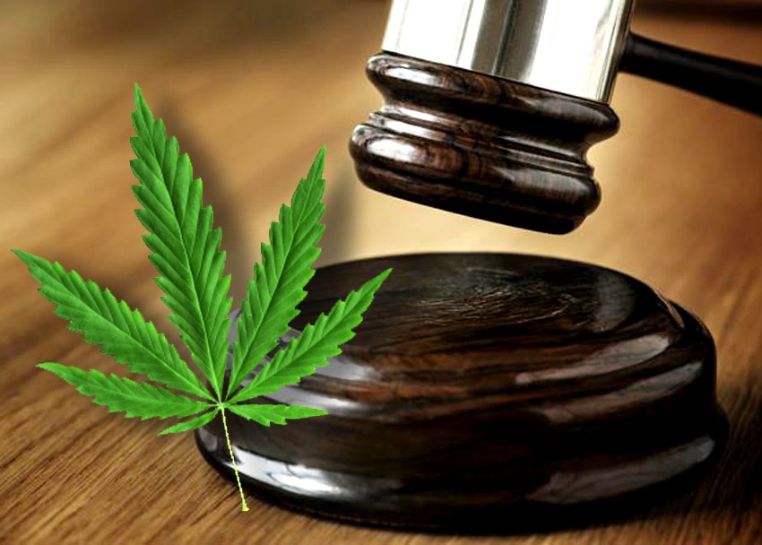 Restrictions on Using Kush Hemp in the Medical Field and as a Last Resort