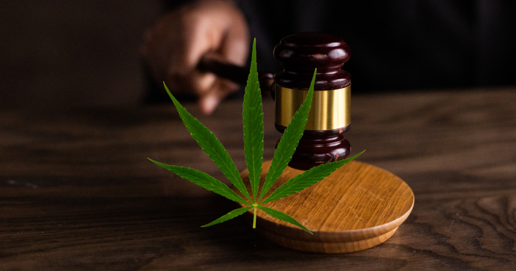 Restrictions on Using Otto in the Medical Field A Strain Reserved for Targeted Medical Applications