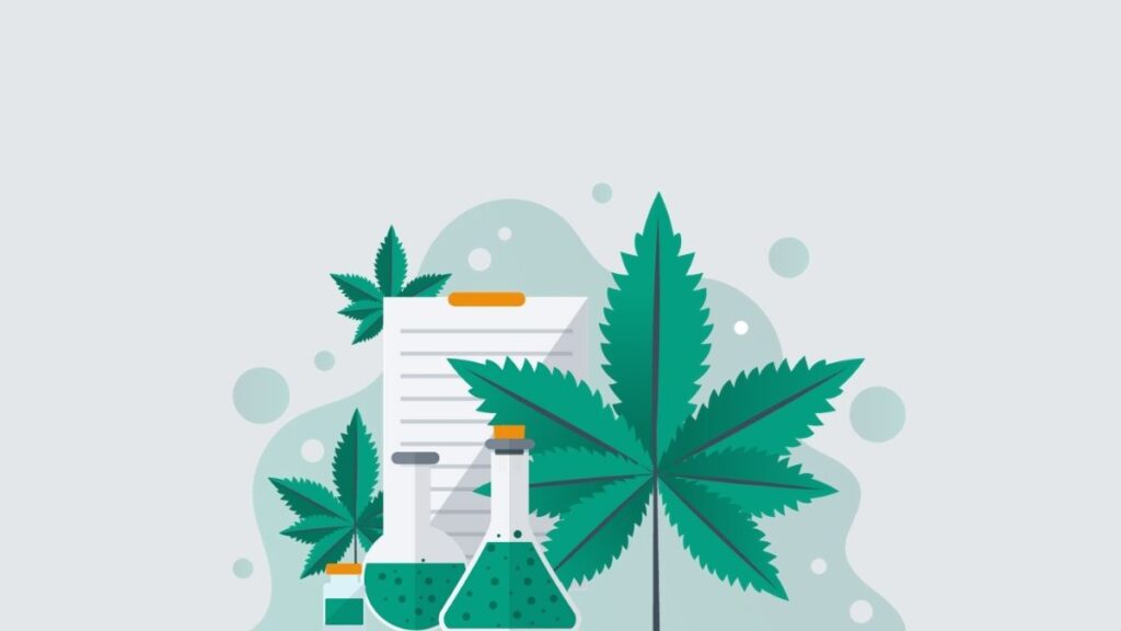 Restrictions on Using Pennywise in Medical Applications and Monitoring THC Levels