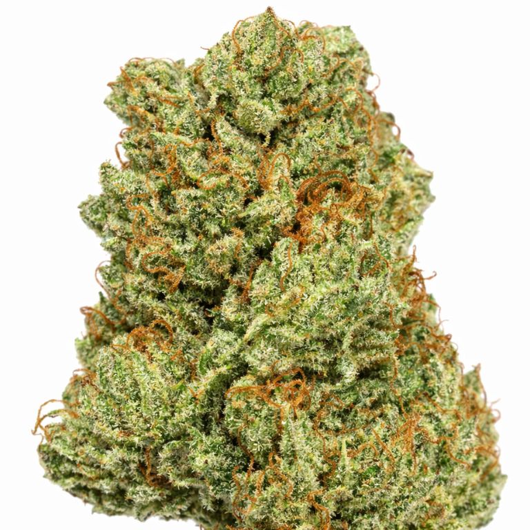 Satellite OG Cannabis Bud