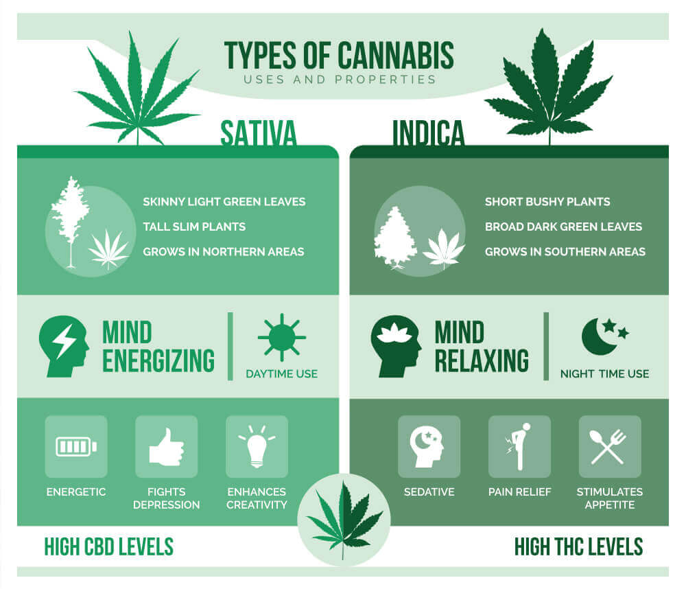 Sativa vs Indica 1