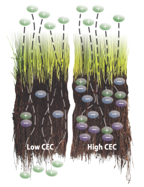 Screen Shot 2015 08 04 at 1.02.51 AM